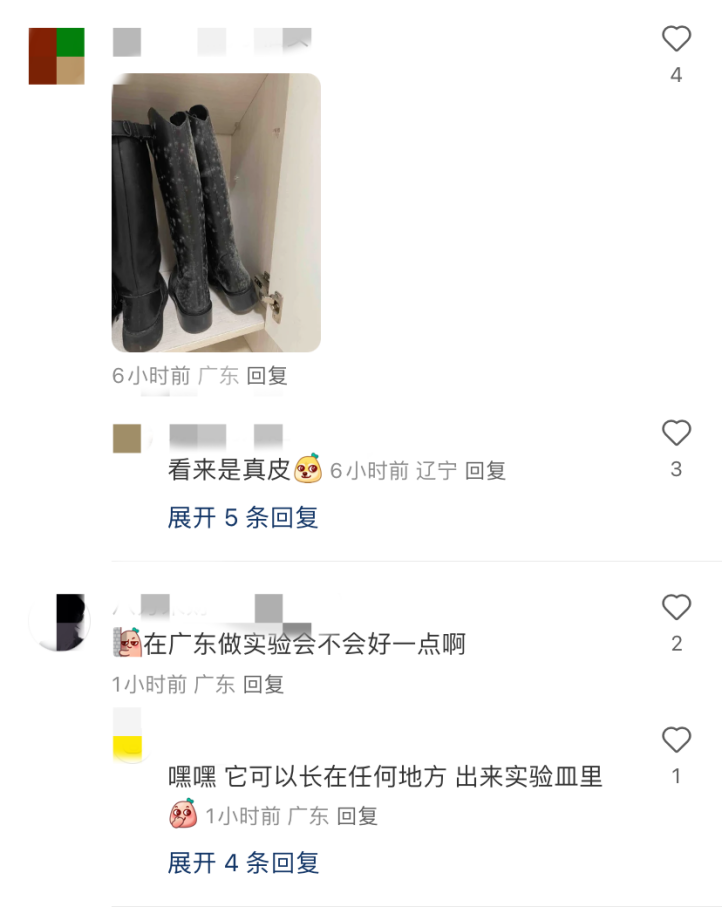 Z6尊龙广东中医药博物馆展品发霉？官方回应